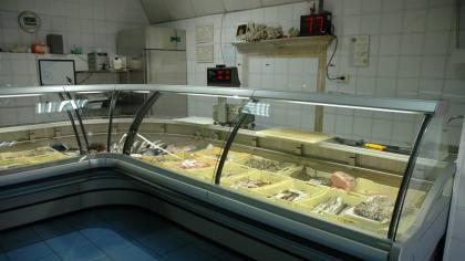 
                CATEGORIA PRODOTTI : BANCHI ALIMENTARI :: PRODOTTO : BANCO ALIMENTARE MIRAGE PESCE | SABA ARREDAMENTI
